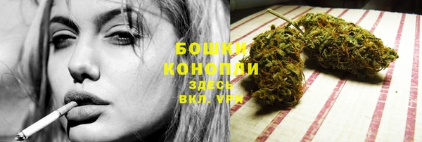 сатива Семёнов