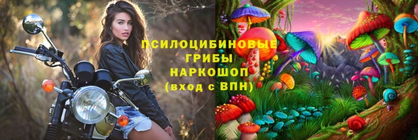 мяу мяу мука Сафоново