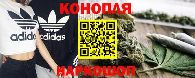 прущие грибы Балаково