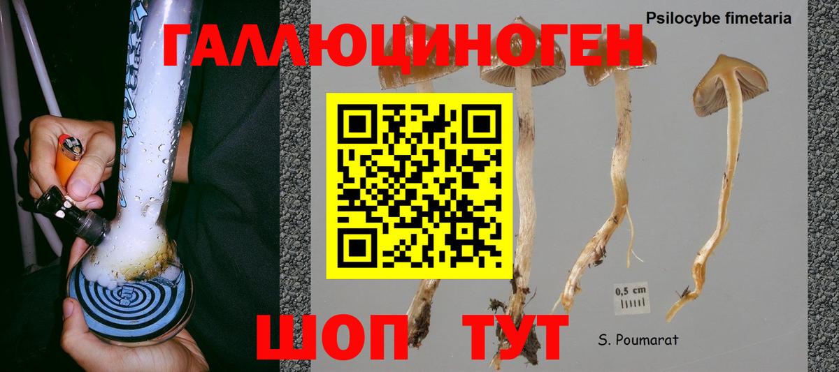 Псилоцибиновые грибы Psilocybe  Псилоцибиновые грибы GOLDEN TEACHER  Великие Луки 