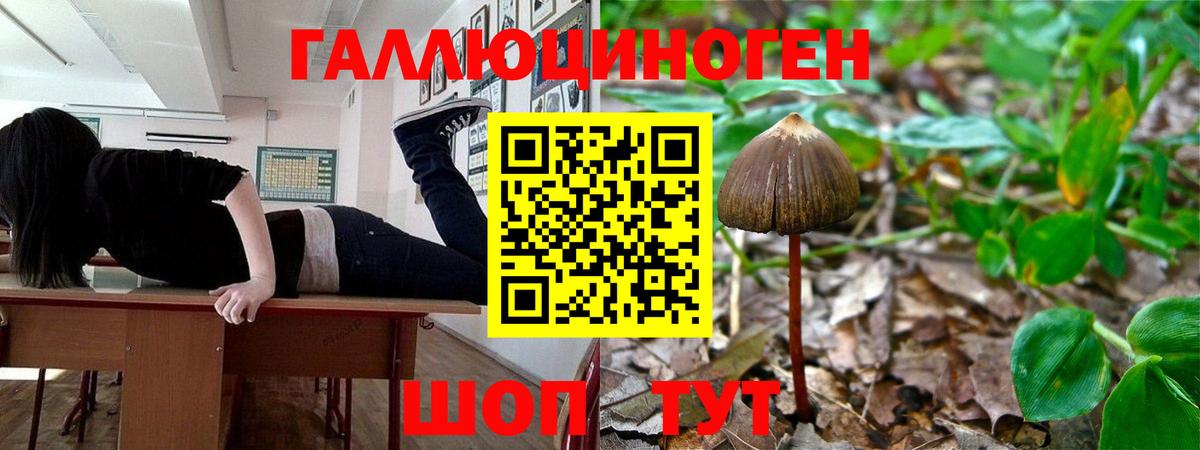 Великие Луки  Псилоцибиновые грибы прущие грибы  Вход с VPN 